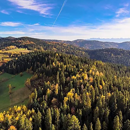 Maciejowe Wzgorze Widok Lubon *