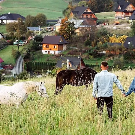 Otel Maciejowe Wzgorze Widok Lubon * 3*
